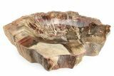 Colorful Polished Petrified Wood Dish - Madagascar #241671-1